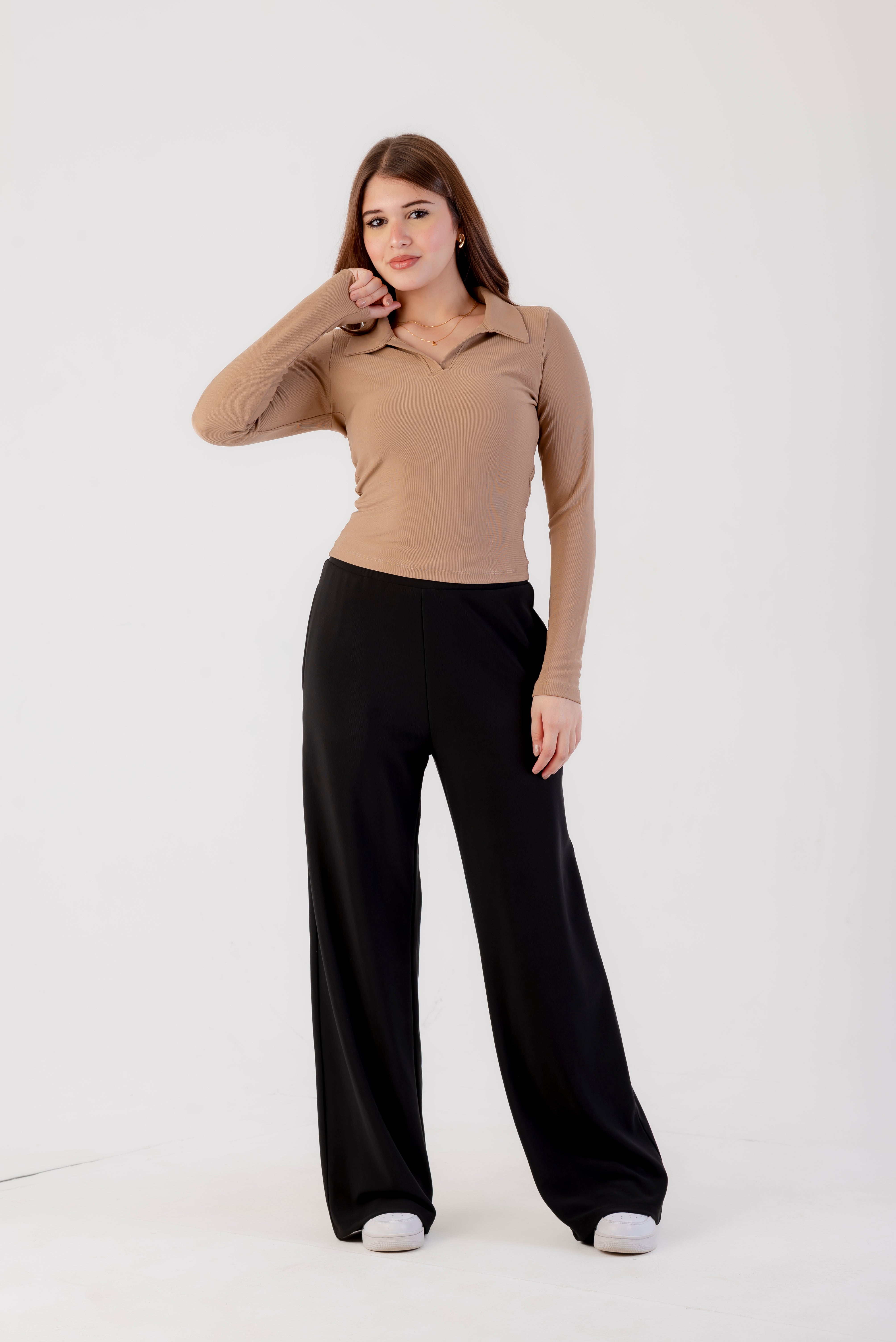 Basic long sleeves and collar